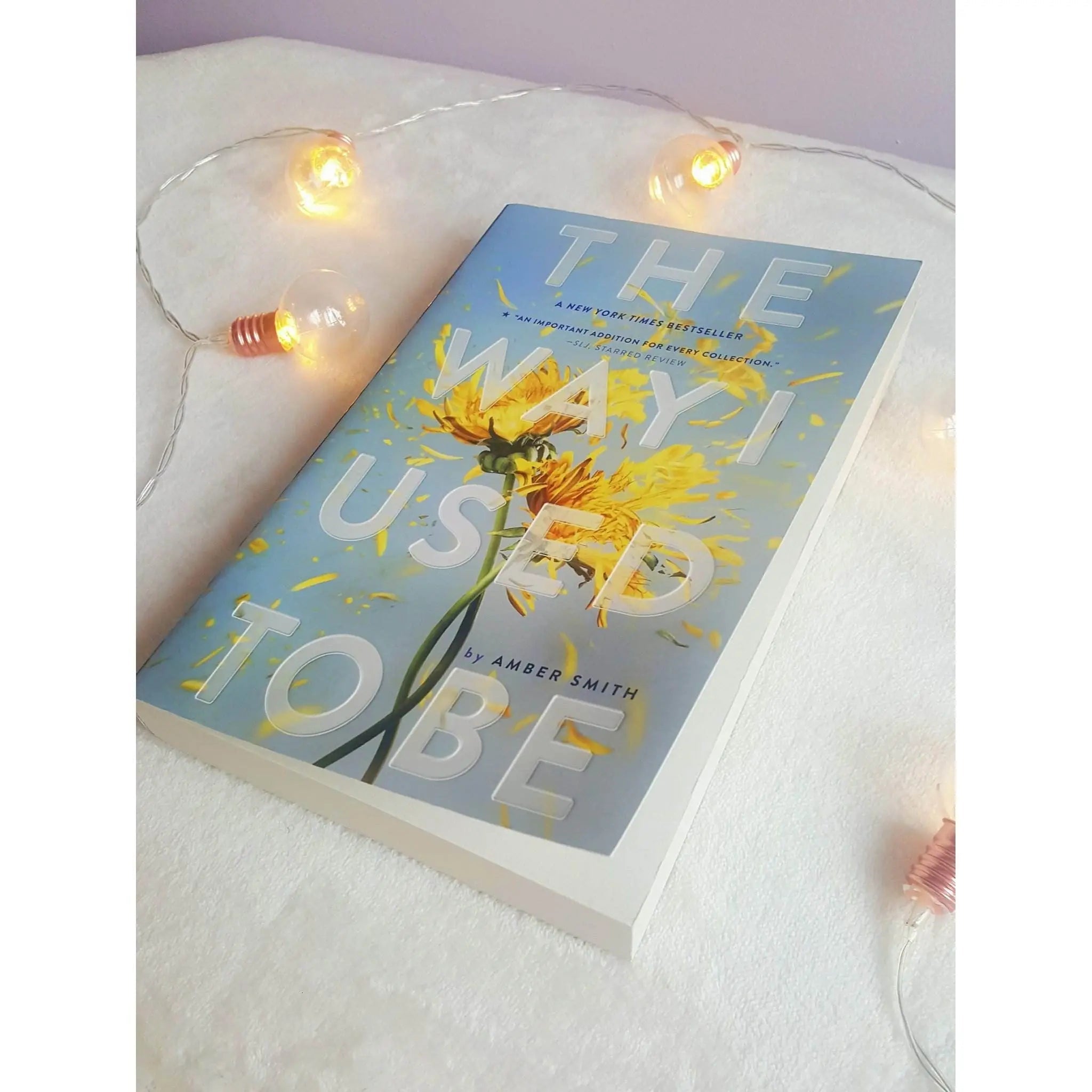 The Way I Used to Be by Amber Smith EnglishBookHouse